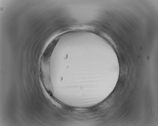 X0000087051483200705091123