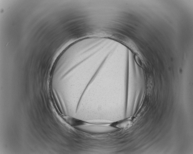 X0000087051484200705091123