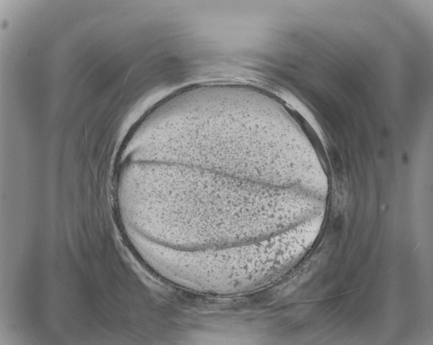 X0000087051485200705091123