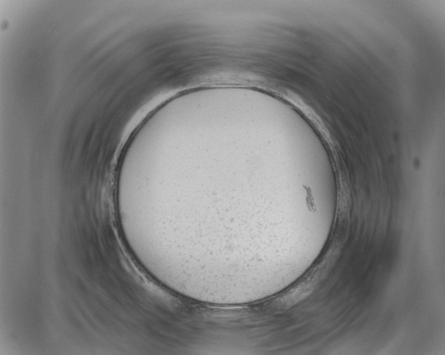 X0000087051486200705091123