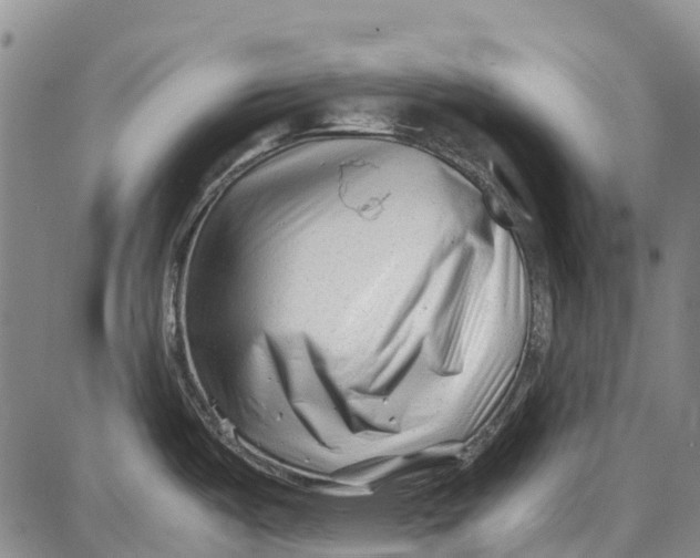 X0000087051487200705091123