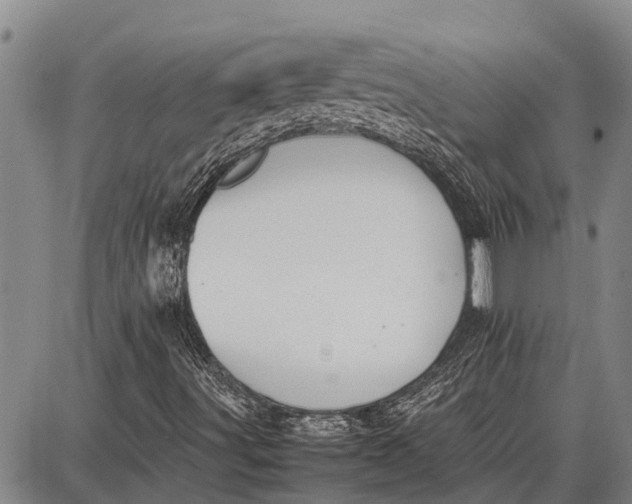 X0000087051491200705091122