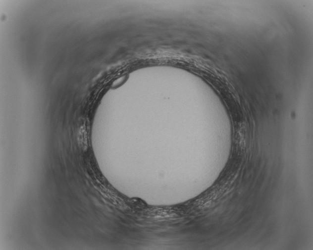 X0000087051493200705091122