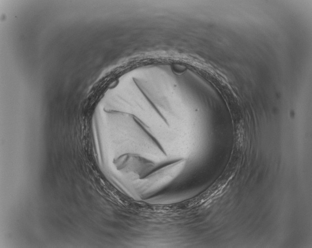 X0000087051494200705091122