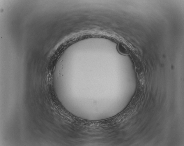 X0000087051495200705091122