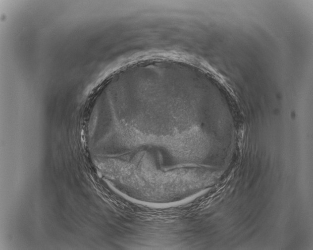 X0000087051496200705091122