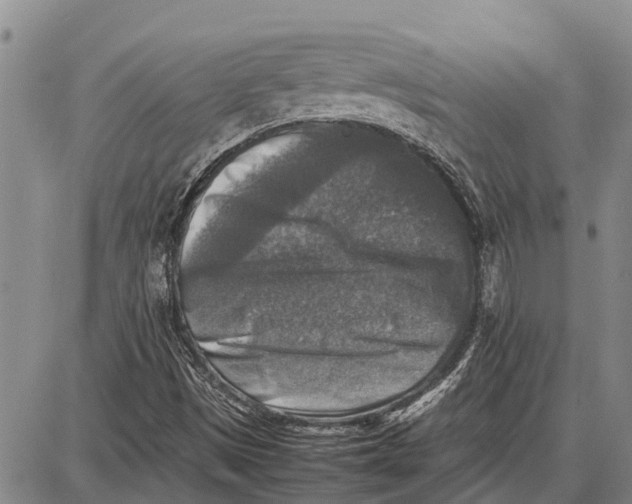 X0000087051497200705091122