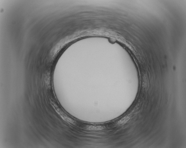 X0000087051499200705091122