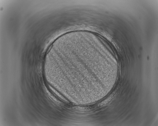 X0000087051500200705091122