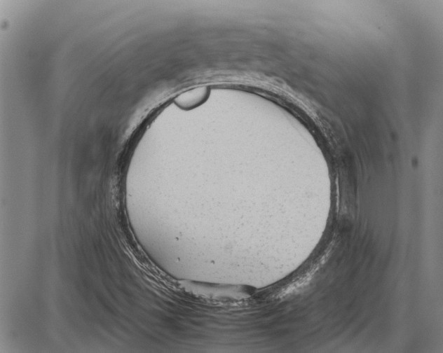 X0000087051501200705091122