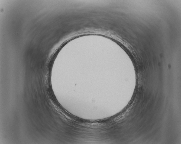 X0000087051502200705091122