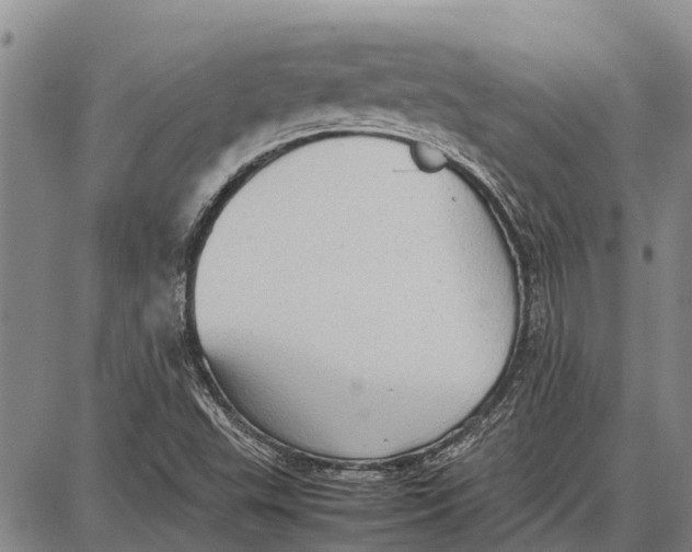 X0000087051503200705091122