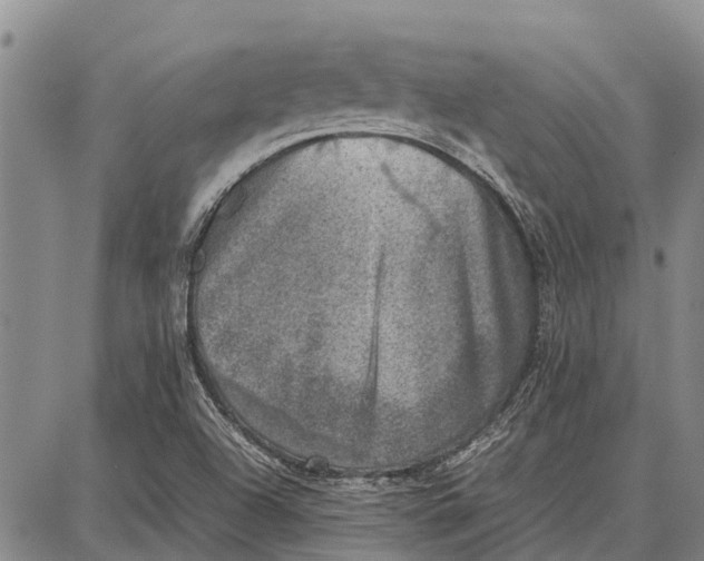 X0000087051504200705091122