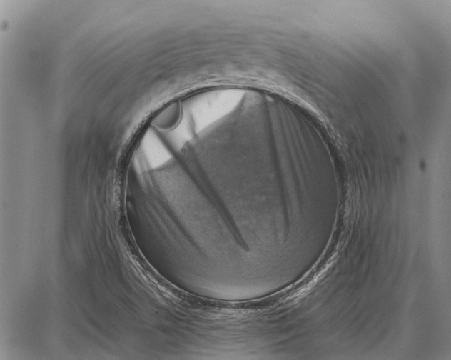 X0000087051506200705091123