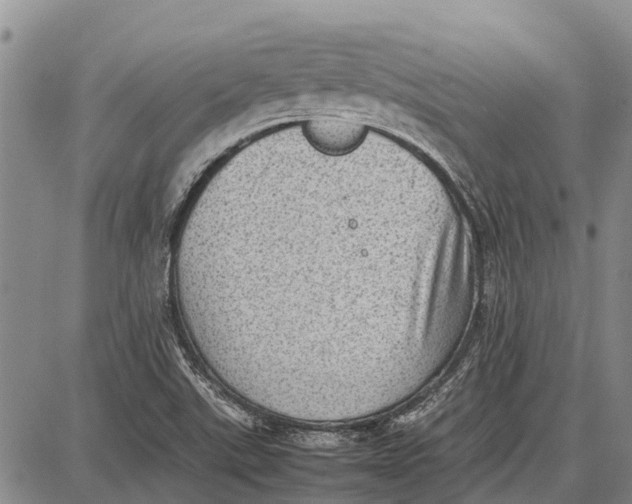 X0000087051507200705091123