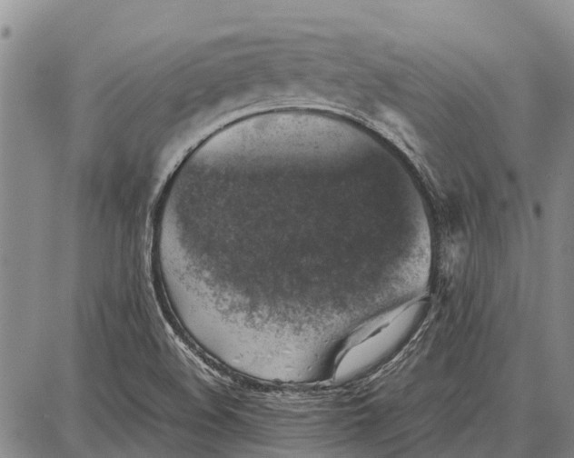 X0000087051508200705091123