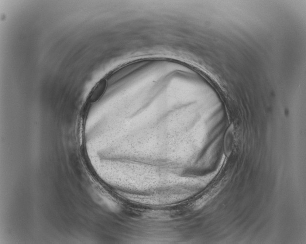 X0000087051510200705091123