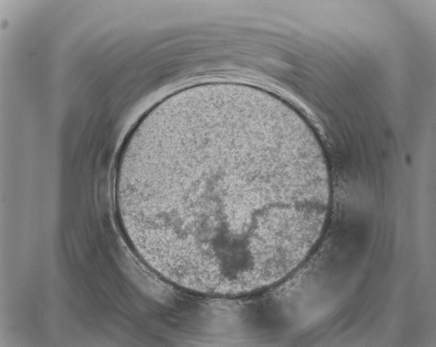 X0000087051514200705091123