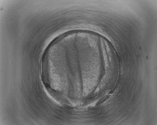 X0000087051515200705091123