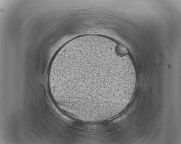 X0000087051517200705091123