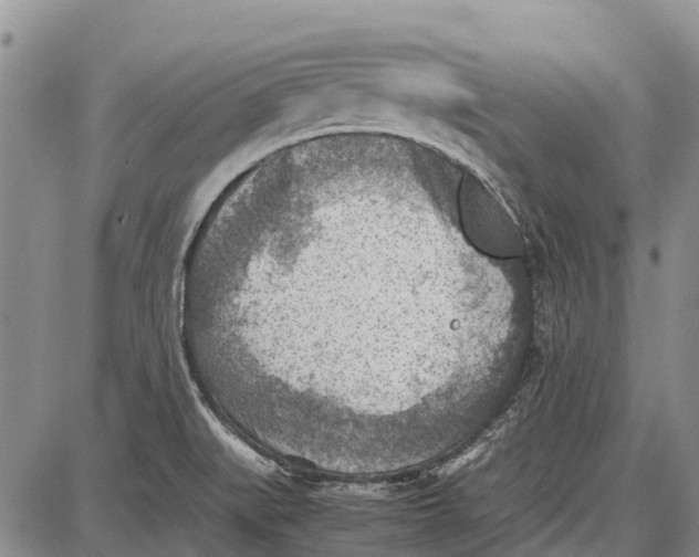 X0000087051519200705091123