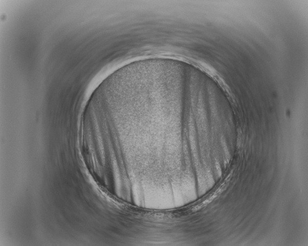 X0000087051520200705091123