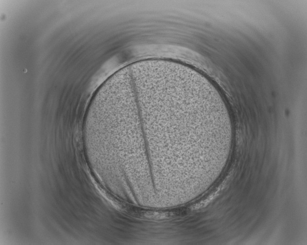 X0000087051521200705091123