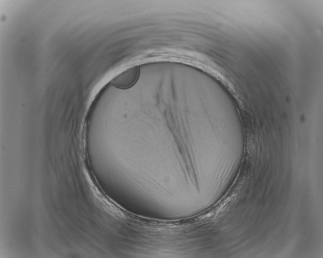 X0000087051522200705091123