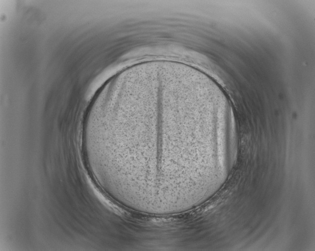 X0000087051523200705091123