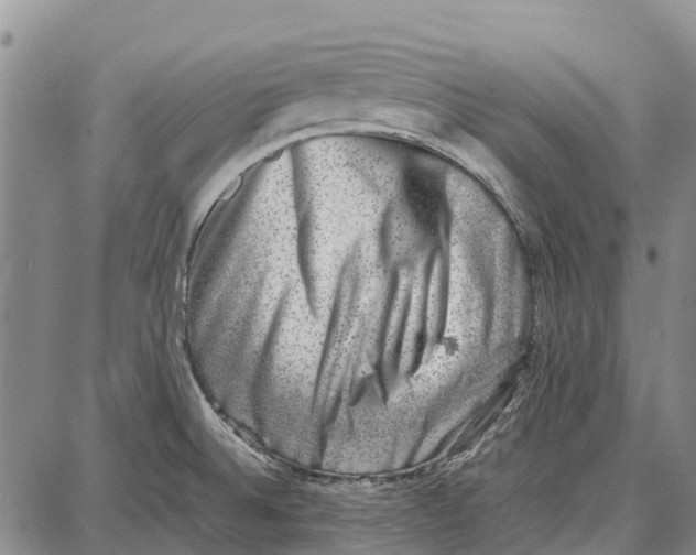 X0000087051524200705091123