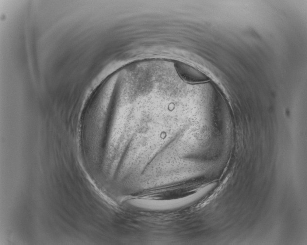 X0000087051525200705091123