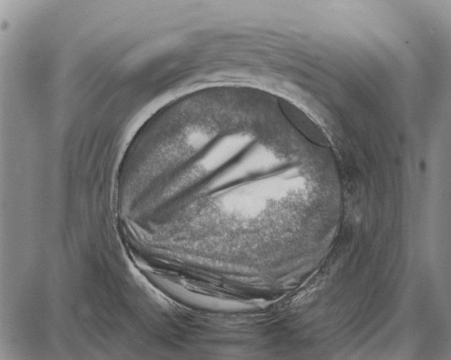 X0000087051527200705091123