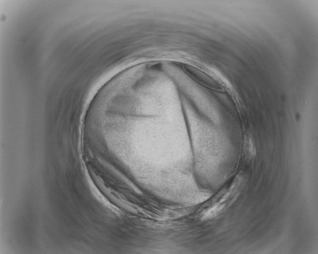 X0000087051528200705091123