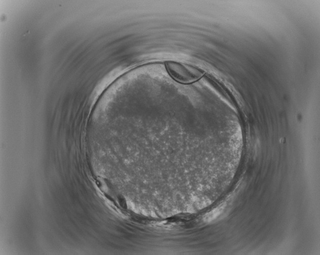 X0000087051529200705091123