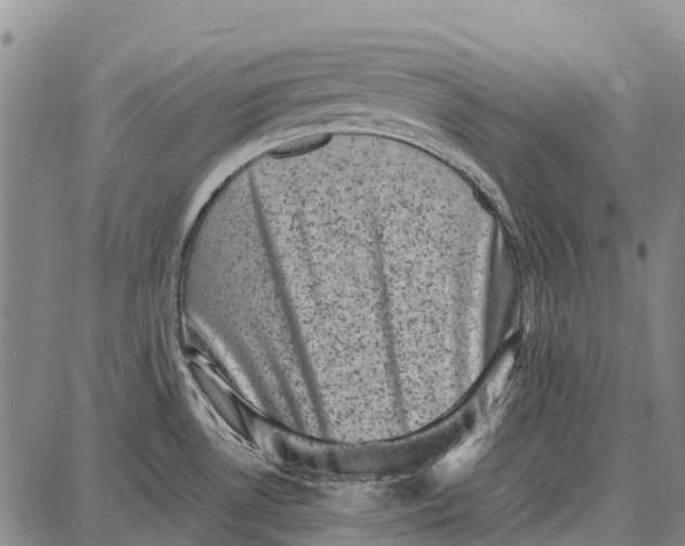 X0000087051530200705091123