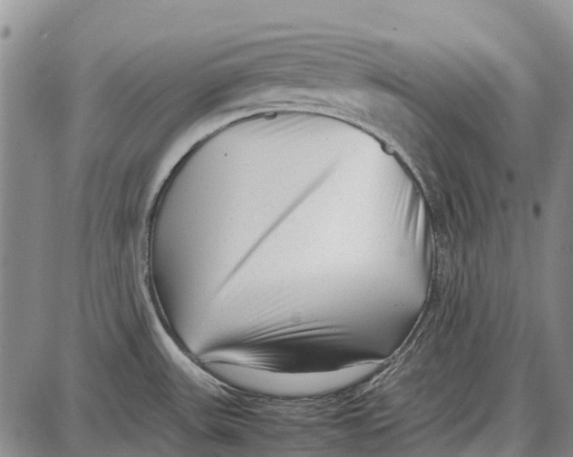 X0000087051531200705091123