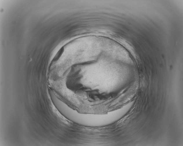 X0000087051532200705091123