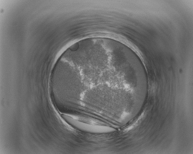 X0000087051533200705091123