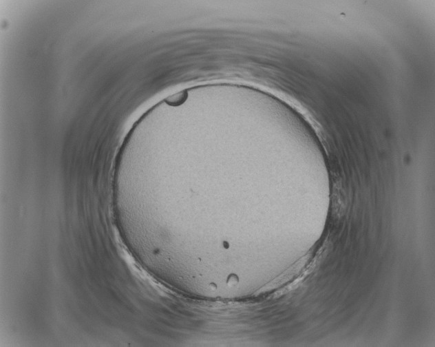 X0000087051534200705091123