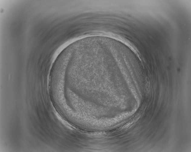 X0000087051535200705091123