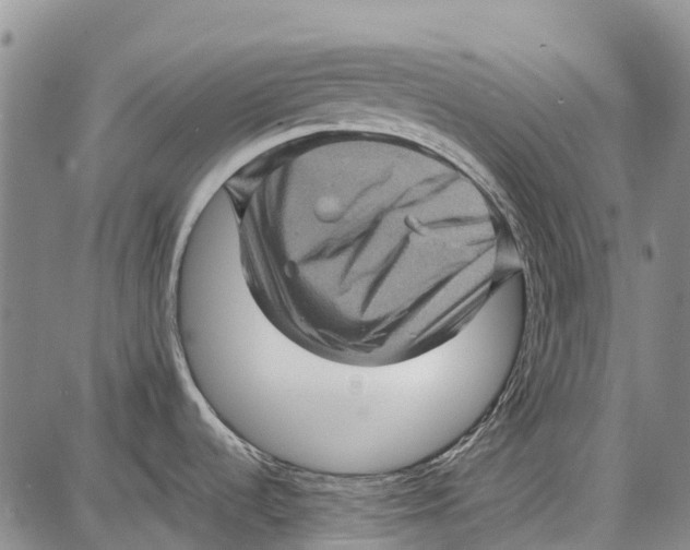 X0000087051536200705091123