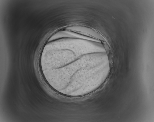 X0000087050001200705161001