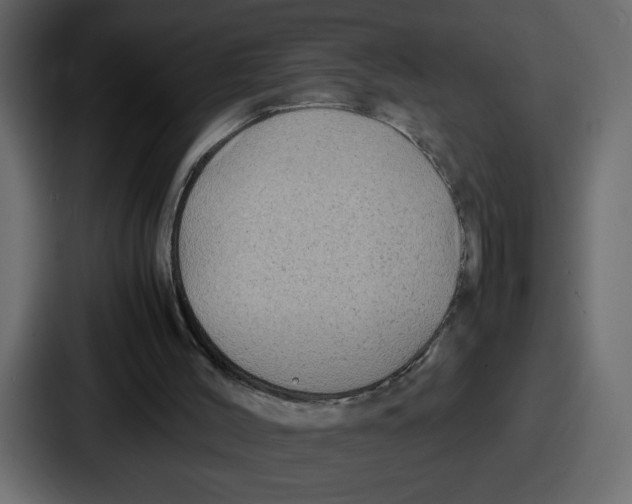 X0000087050004200705161001