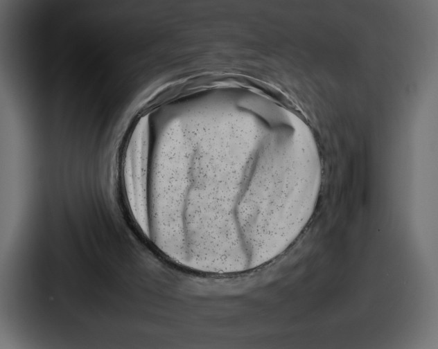 X0000087050005200705161001