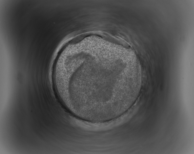 X0000087050006200705161001