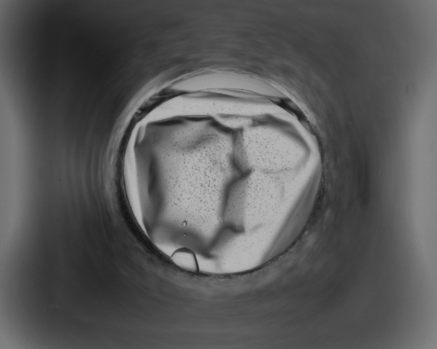 X0000087050007200705161001