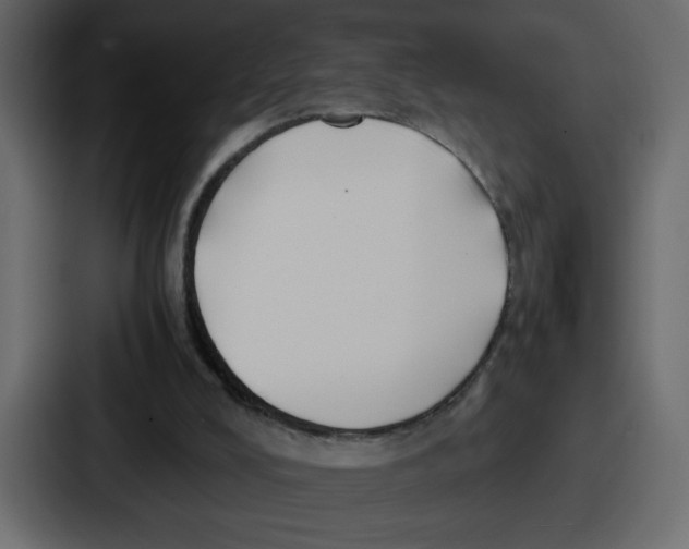 X0000087050008200705161001