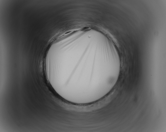 X0000087050010200705161001