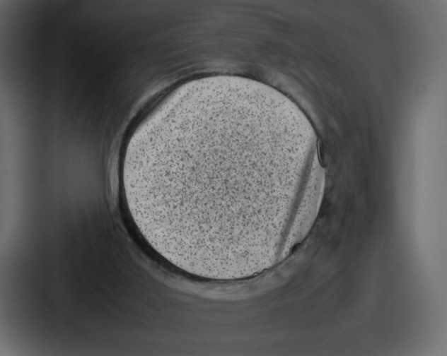 X0000087050011200705161001