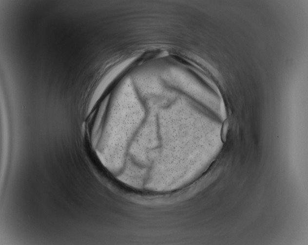 X0000087050013200705161001